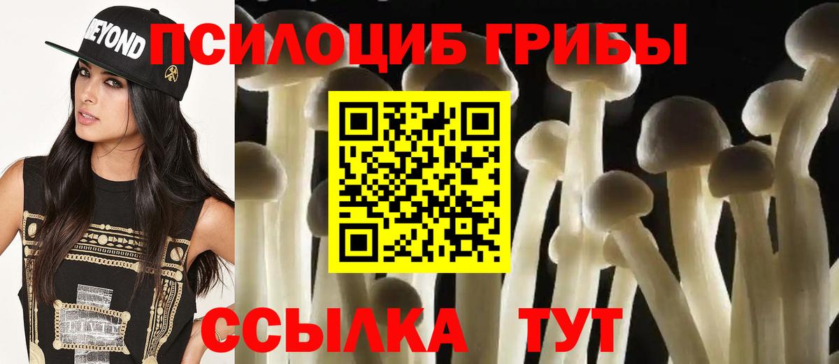 Псилоцибиновые грибы MAGIC MUSHROOMS  Вход с VPN  Галлюциногенные грибы прущие грибы  Назарово 